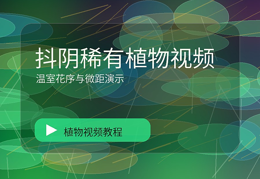 棠花绿社